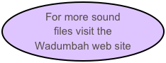 For more sound files visit the 
Wadumbah web site
